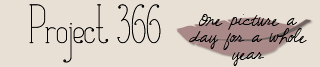 Project 366